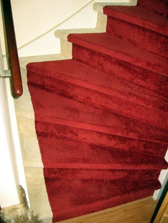 Pest B olie bevestigen trap bekleden stofferen vloebedekking tapijt materialen Den Haag, kleuren,  kleurcombinaties en designs